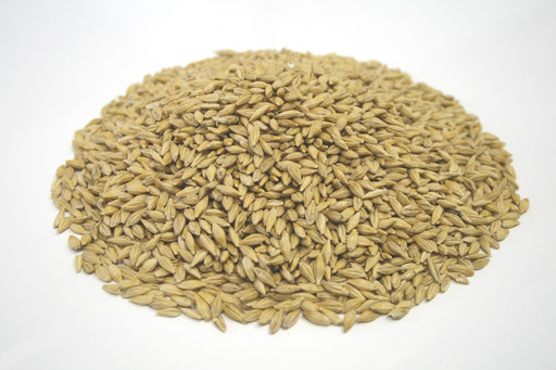 Orzo_3.jpg